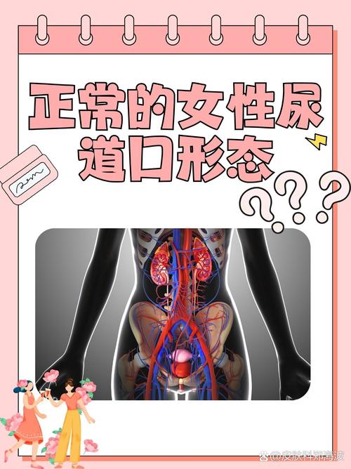 看毛片的网站的相关介绍