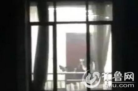 少妇淫av的相关介绍