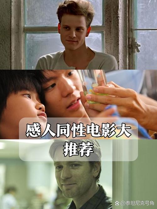日韩美女av在线一区二区的相关介绍