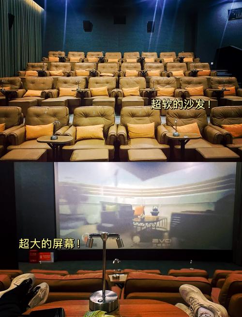青海电影院的相关介绍