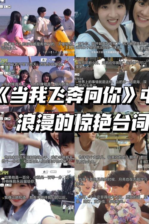大陆高清毛片的相关介绍