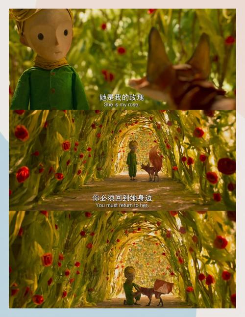 狂插美女的相关介绍